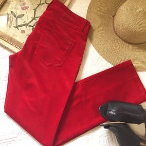 Talbots Red Velour Straight Leg